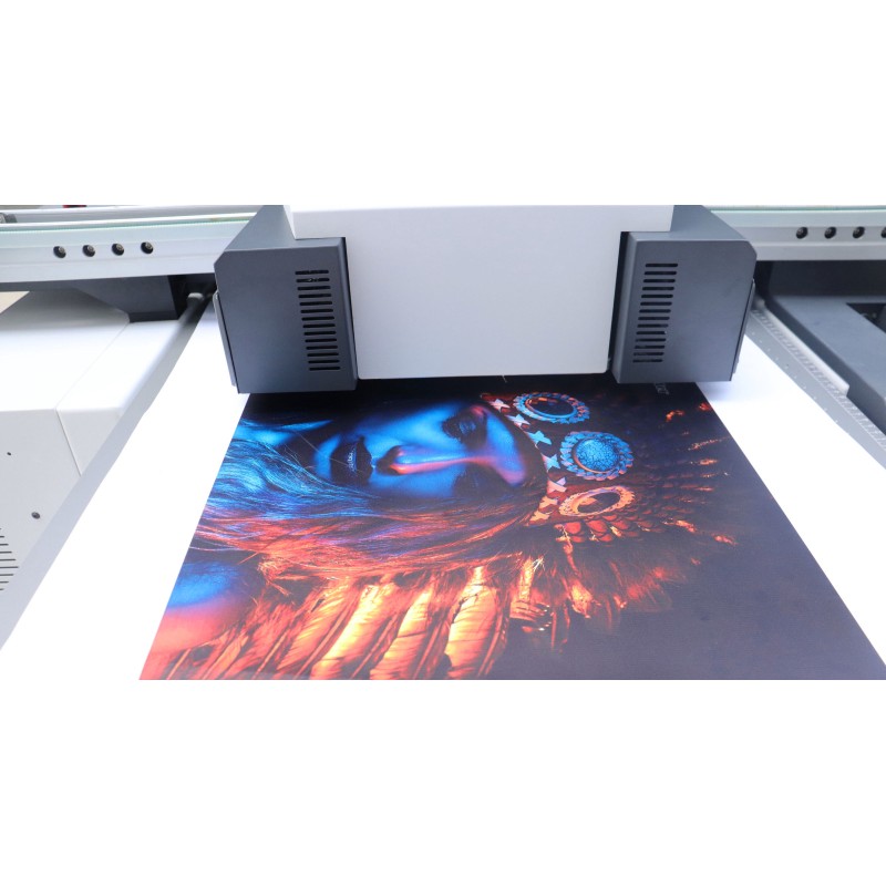 Eco-solvent printer/Large format printer