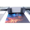 Eco-solvent printer/Large format printer